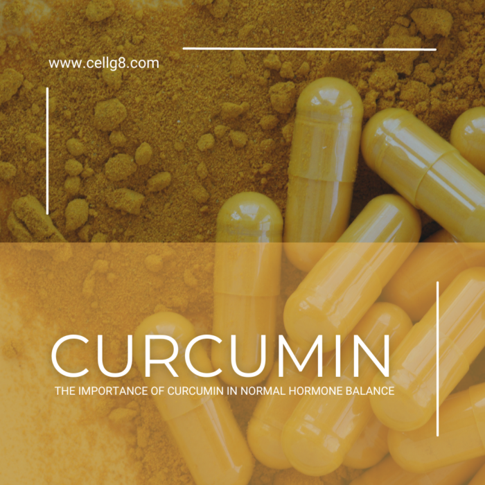 The Importance Of Curcumin In Normal Hormone Balance Valimenta